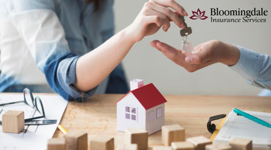 Get the Best Renters Insurance in Valrico, Florida