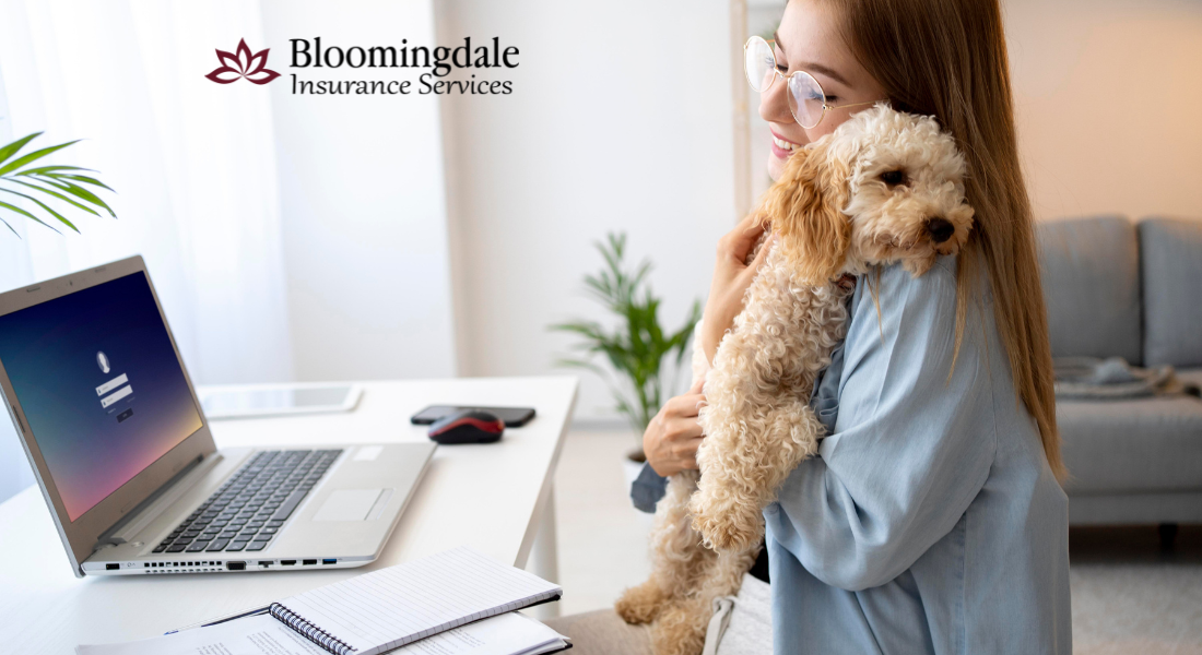 Pet Insurance in Valrico: How Bloomingdale Insurance Services Protects Your Best Friend